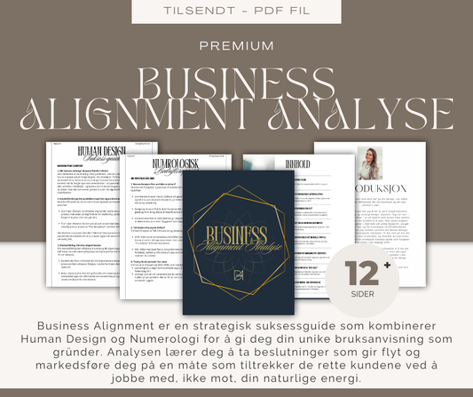Business Alignment Analyse