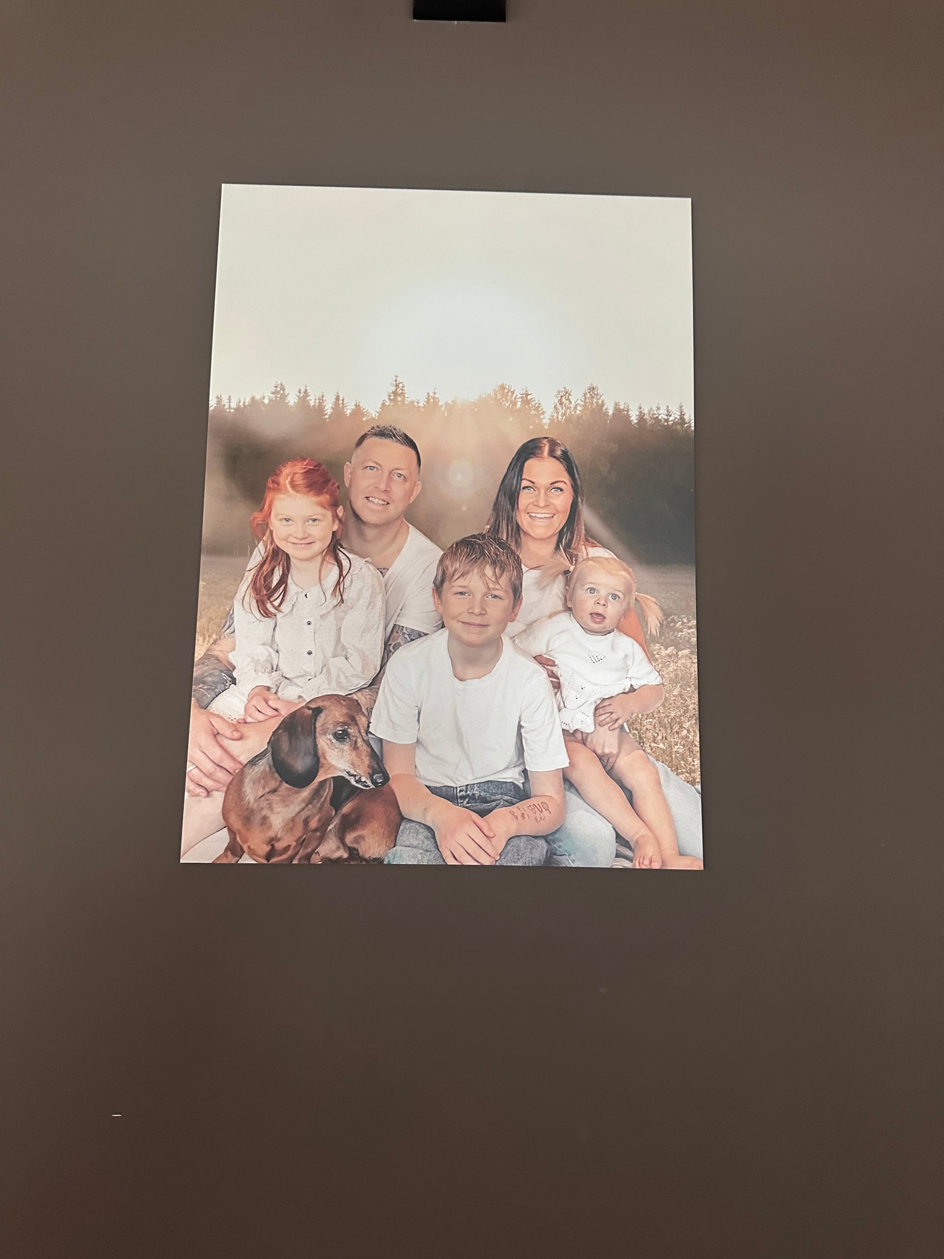 406cd4c0-3ac7-4572-8b8b-3886e7ef7d78