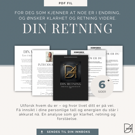DIN RETNING - hvem er du og hvor er du på vei?