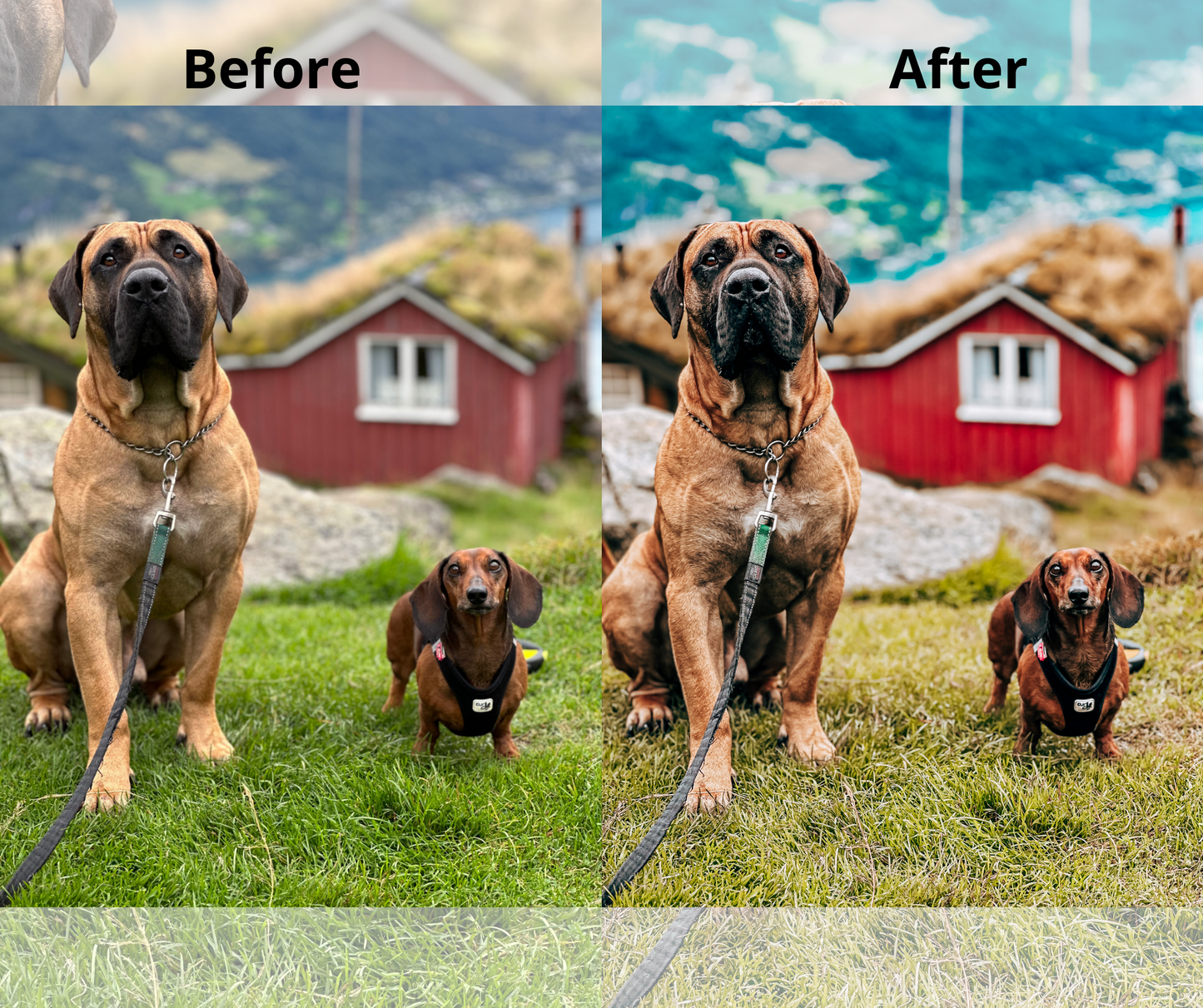 11 Eksklusive Lightroom Presets for natur og landskap